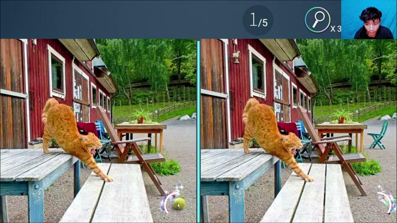 Find king. Find king. стормвинд карта бфа. Differents find king. Health and illness idioms.