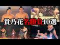 宿敵・曙との死闘、武蔵丸戦で見せた執念「貴乃花」