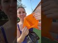 cool dog moms use Cleanwaste waggy baggy! #dogmom #dogsoftiktok #doggybag #dogs #doglover