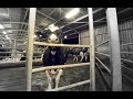 乳牛的一生 ：360度全景體驗｜The Dairy Industry in 360 Degrees by iAnimal [CC Available]