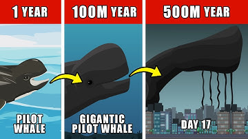 Day 17 Origin Evolution: How Day 17 Could Have Evolved