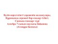 1 4  Сандар тізбегі  Санның стандарт түрі