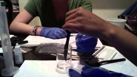 Lab 9 Determination of Ka for a weak acid