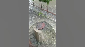 Rat Rides Sewer Geyser: Urban Flood Chaos