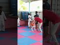 SETTAI SIVA🔥🎉🎊😊🥋🥋 #comedy #taekwando #combatsport #taekwondo #fightingsport