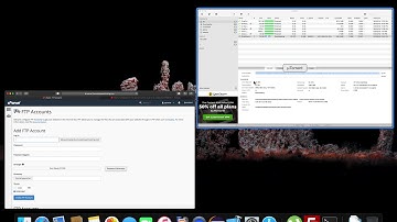 Connect  Filezilla Server to PHP MyAdmin on Cpanel