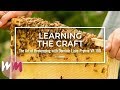 VR 180: The Art of Beekeeping | Ep 3 [Honey Collecting/Up Close with Bees]