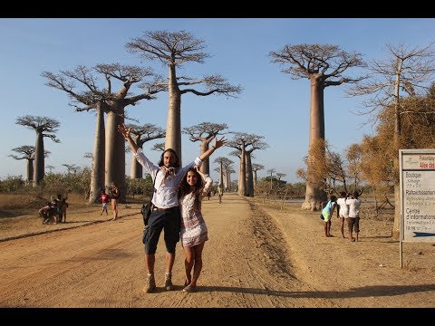 Video: Grafy UK: Madagaskar Zpět Na Začátek