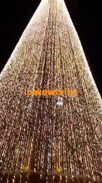 christmas in Colombo Sri Lanka 🎄🎄🎄🎄🤗