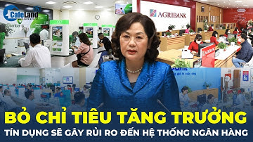 Thống đốc NHNN: Bỏ chỉ tiêu tăng trưởng tín dụng có thể gây rủi ro đến hệ thống ngân hàng | CafeLand