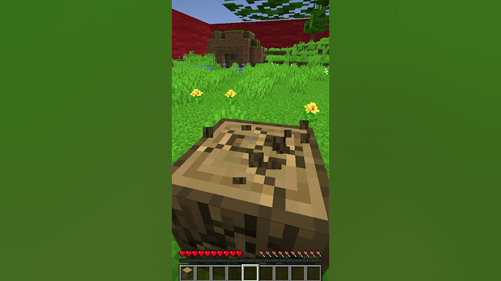 Minecraft, Dar TU Controlezi Cercul...