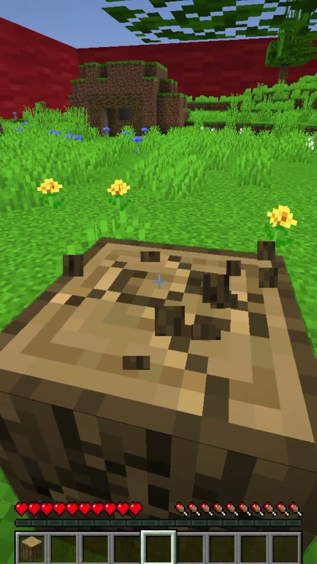 Minecraft, Dar TU Controlezi Cercul...