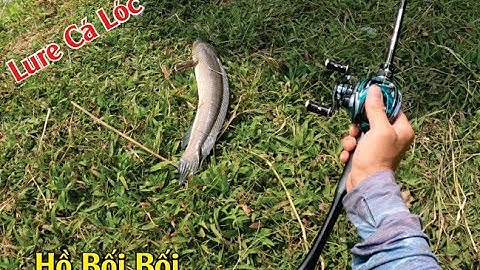 Lure cá lóc | Hồ câu lure dịch vụ | Lure Triệu Hướng