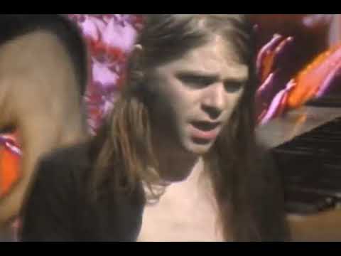 Ariel Pink's Haunted Graffiti-   L' estat (According to the Widow's Maid)