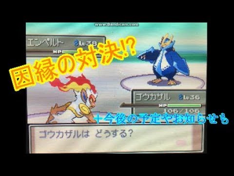 コレクション ポケモン プラチナ ゴウカザル ポケモン プラチナ ゴウカザル 性格