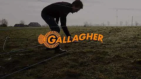 Fault Finder | Gallagher