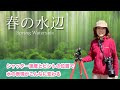 どんなシャッター速度で撮りますか?撮り方でこんなに違う!春の水辺