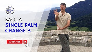 Bagua Zhang Palm Changes