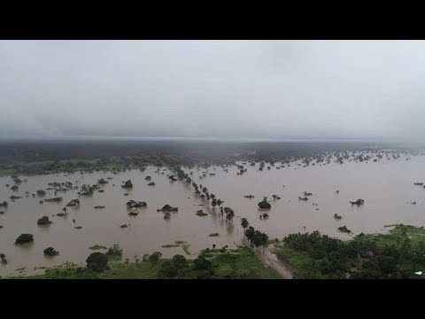 Гиганты Мозамбика / Giants of Mozambique | 4K |