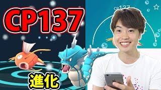 ポケモンgo Cp137のコイキングをギャラドスに進化 どのくらいのcpに成るか Youtube