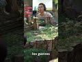 Los monos viven mejor que uno 😂#uncharted #unchartedlostlegacy #funny #videojuegos #shorts #gaming