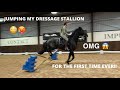 Jumping my beautiful black dressage stallion for the first time ever
