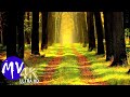 Beautiful Relaxing Meditation Piano Music Combined with Stunning Nature in 4K Quality.