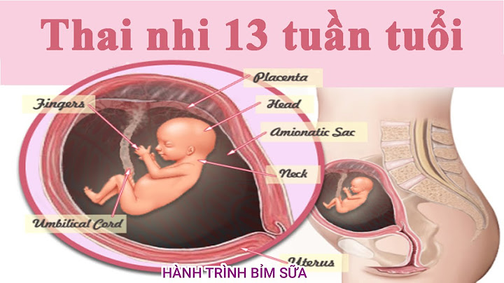 Thai nhi 13 tuần nặng bao nhiêu năm 2024