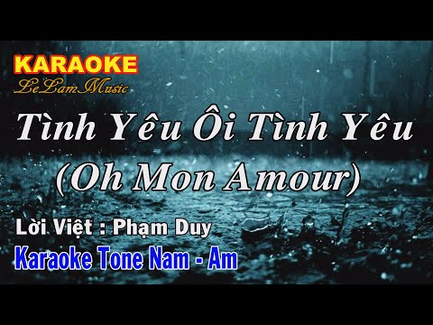 Karaoke - TÌNH YÊU ÔI TÌNH YÊU - Tone Nam | Lê Lâm Music