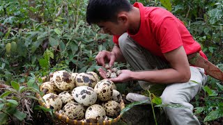 Pick Up Quail Eggs In The Confused Forest to Sell At The Market - Go To Work To Make Money || An Ca