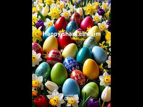 ١١ أبريل ٢٠٢٥ 