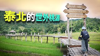 【泰國拜縣】漫步泰國拜縣最長的竹橋享受山林裡的寧靜之旅《泰國拜縣美食之旅》