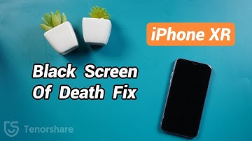 iPhone XR Black Screen of Death Fix (iOS 14 Supported)
