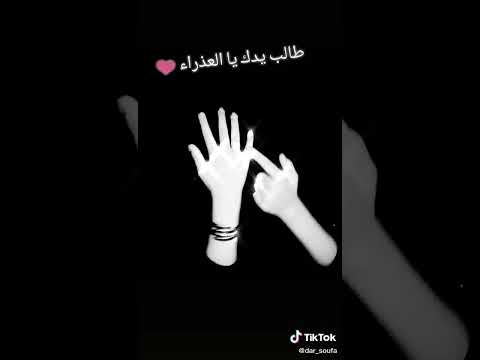 جيت نطبطب فالباب تيك توك شاشة سوداء