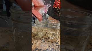 EASY 47 SECOND VIDEO ABOUT HOW TO MAKE SEA MOSS GEL. glutenfree health ?  ?recipe