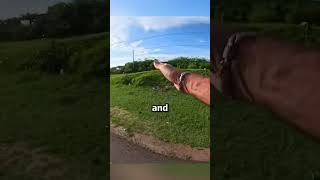 Bike Ride Turns Into Elephant Chase