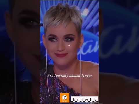 KATY PERRY Falls In LOVE With Trevor On American Idol |
