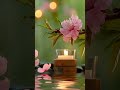 Relaxing  Piano for stress relief | Enchanted Music