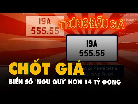 Đấu giá biển số ô tô ở Hà Nội: Biển 'ngũ quý 5' chốt giá hơn 14 tỉ đồng