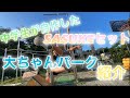 SASUKEセット 大ちゃんパークエリア紹介 SASUKEセット 大ちゃんパークエリア紹介