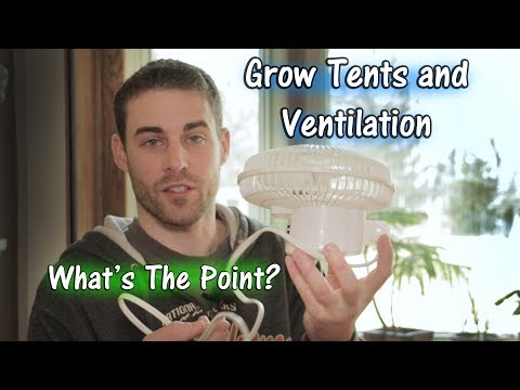 Video: Vai augšanas teltī ir nepieciešams oscilējošs ventilators?