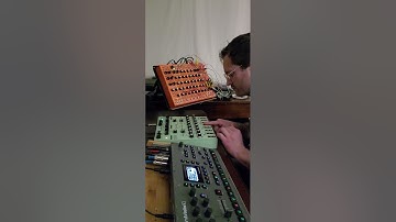 Another Long Noodle! Pulsar-23 Lyra-8 and Octatrack