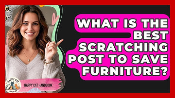 What Is The Best Scratching Post To Save Furniture? - Happy Cat Handbook