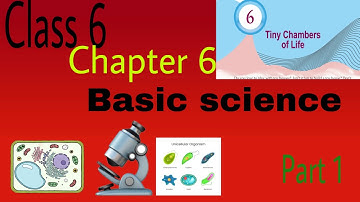 Class 6 Basic Science Chapter 6 | Tiny Chamber of Life | Kerala Syllabus | #class6 