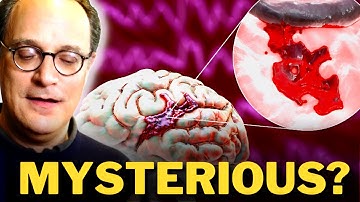 Matt Botvinick: The Brain Is SO MYSTERIOUS