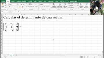 Calcular el determinante de una matriz en Excel - Muy fácil