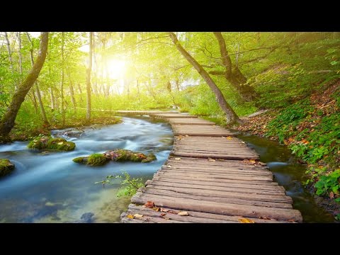 6 Hour Deep Healing Music: Relaxing Music, Meditation Music, Soothing Music, Relaxation Music ☯2841