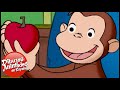 Jorge el Curioso en Español 🐵Jorge Encuentra el Camino 🐵 Mono Jorge 🐵 Caricaturas para Niños