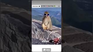 bangladeshma##🐒🐒 sean video youtube