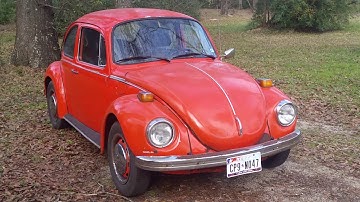 So you want to buy a volkswagen beetle